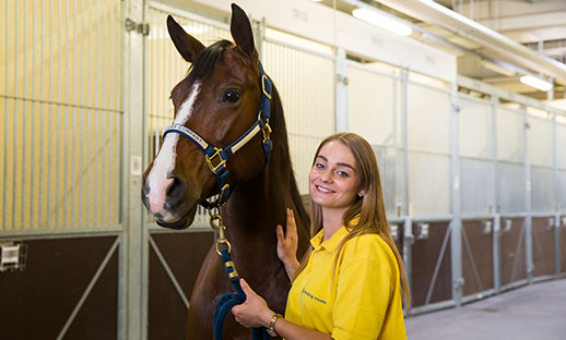 Animal welfare during transport: animals in containers