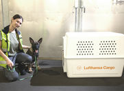 Lufthansa Dog Transport 2024 www.zsdolakova.cz