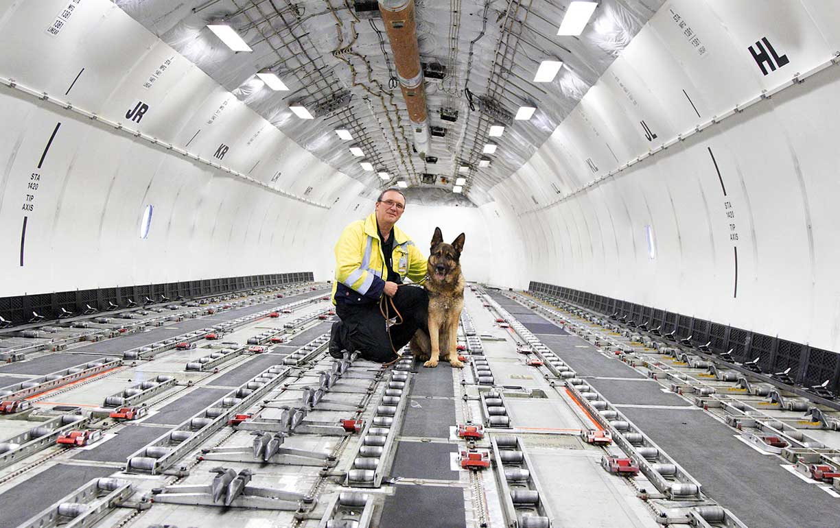 Lufthansa pet transport hotsell